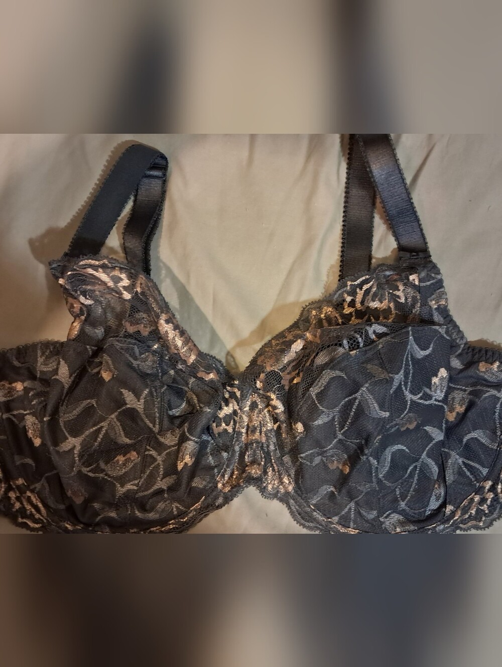 Fantasie "Aubree" Charcoal Grey Lace Underwire Bra with Blush/Nude Accents